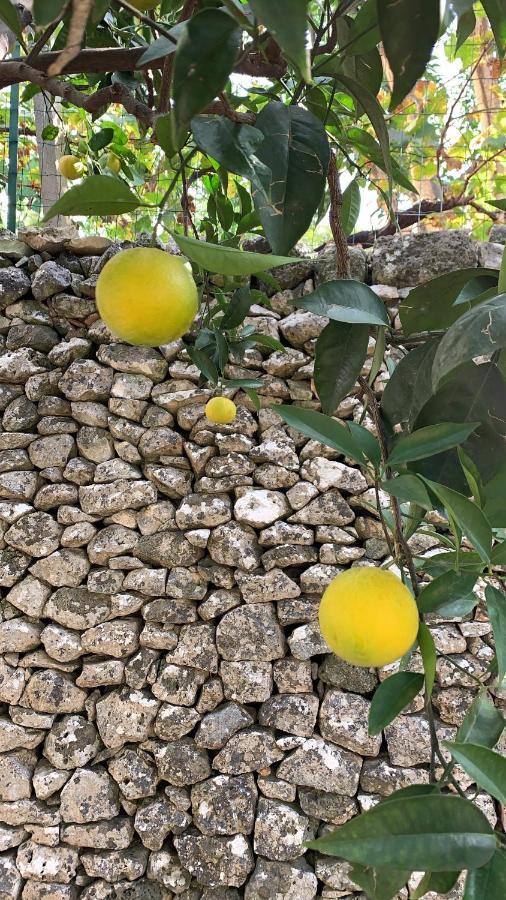 Dimora Le Zagare Apartamento Ostuni Exterior foto