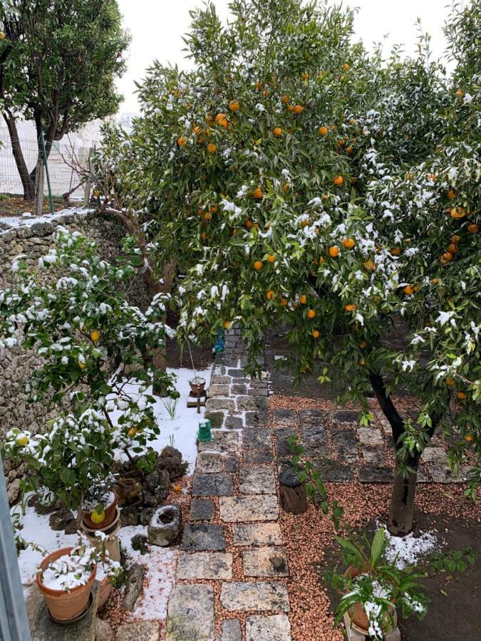 Dimora Le Zagare Apartamento Ostuni Exterior foto