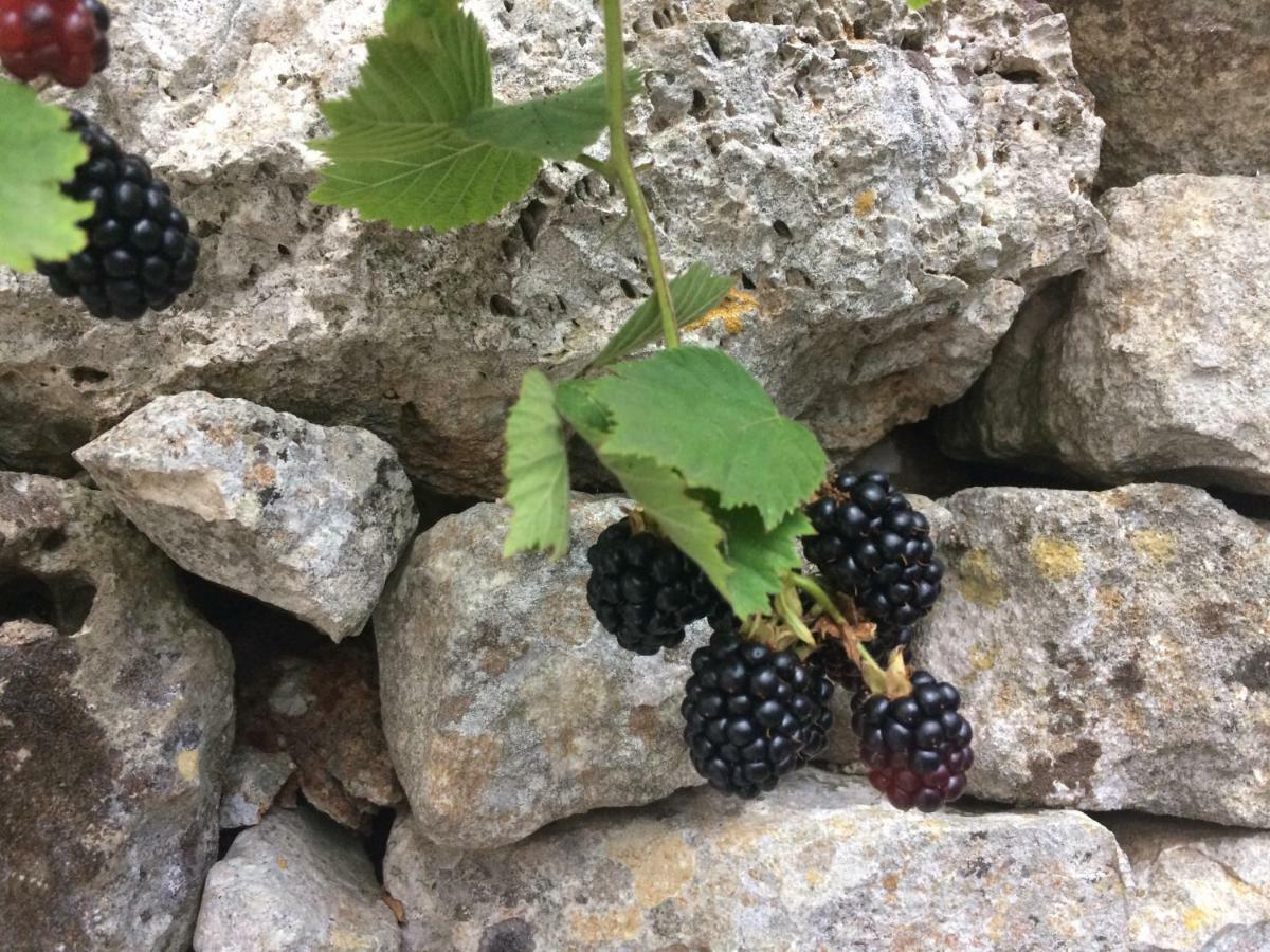 Dimora Le Zagare Apartamento Ostuni Exterior foto