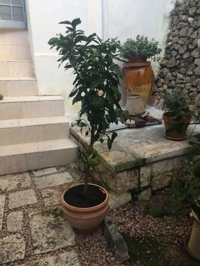 Dimora Le Zagare Apartamento Ostuni Exterior foto